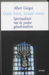 Albert Guigui - Oude bron, levend water