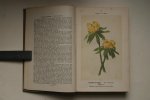 Bruinsma , Dr. Vitus ; Uildriks, F.J. van; - De mooiste en meest gebruikte Tuinbloemen  Onze Bloemen In de Tuin  met 160 Gekleurde Platen (zie de foto's)