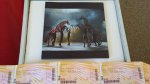 National Theatre of Britain - War Horse