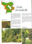 Voskuil, Julia ; Hoey Smith, J.R.P. van ... [et al.] - Bomenrijk in Rotterdam