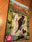Villard, Pascal - The Guadeloupe Woodpecker - Melanerpes