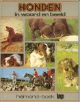 Bailey, Kenneth  .. Vertaling door P. de Jong - Biggs - Honden in woord en beeld .. Met heel veel  zwart - wit -  en kleuren foto's