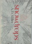 Andrew Miller - Snowdrops
