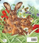 Briggs, Valerie  Die de illustraties maakte  ... Het idee van Wolfgang Schleiche - Ken jij mijn vriendjes? vraagt het kleine haasje