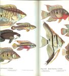 Frey, Hans  en herzien door A. van den Nieuwenhuizen ..   Tekeningen waterplanten Ernst Halwass   Vertaling en bewerking Dr. B Hubert en A. Hubert - de Niet - Het grote Aquariumboek .. Met prachtige foto's  16 platen en heel  veel mooie kleuren foto, vis plezier voor uren