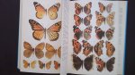 Higgins, Lionel G./ Riley - Die Tagfalter Europas und Nordwestafrikas - Ein Taschenbuch für Biologen und Naturfreunde. 1145 Abbildungen im Text und auf Tafeln, davon 760 farbig nach Zeichnungen