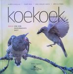 Mikulica, Oldrich & Tomás Grim & Karl Schulze-Hagen & Bård G. Stokke - Koekoek: beeld van een onverwachte gast