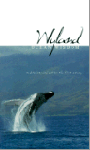 Wyland - Ocean Wisdom; meditations and art for the 21st century
