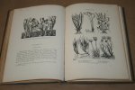 Lilley & Midgley - Plant Form and Design  --  A Book of Studies in Plant Form with some Suggestions for their Application to Design