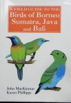 Mackinnon, J.; Phillipps, K. (illustrations). - A Field Guide to the Birds of Borneo, Sumatra, Java and Bali.