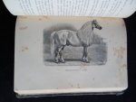 Quadekker, E.A.L. - Het Paardenboek, deel 2, Een geïllustreerd handboek voor iederen bezitter en liefhebber van paarden