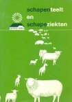 Bekedam / Herweyer - Schapeteelt  en schapeziekten
