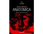 Marta Poggesi - Encyclopedia Anatomica Marta Poggesi - Encyclopedia Anatomica