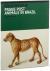 Bruin, Alexander de - Frans Post Animals in Brazil (Dieren uit Brazillie )