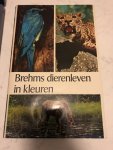 Brehm - Brehms dierenleven in kleuren