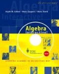 Arjeh M. Cohen, Hans Cuypers, Hans Sterk - Algebra interactive! learning algebra in an exciting way