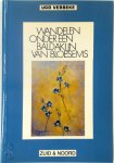 Ugo Verbeke 152359 - Onder een baldakijn van bloesems Haikubundel