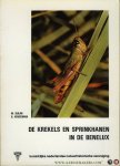 Duijm, M. / Kruseman, G. - Krekels en sprinkhanen in de Benelux