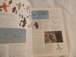 FLEGG,JIM - Theresa Brendell - BIRDS OF THE BRITISH ISLES - Shire Natural History Series