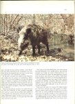 George Jean Met inleidingen en een speciale bijlage 'Het Dieren-ABC'door Jean George. - De wondere wereld der dieren Het grote dierenboek van het beste uit Reader's Digest  in zes delen