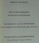 Sauvageau, C. - Les Phéosporées. REPRINT [ isbn 9061050014 ]
