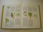 Garland, S. / Coeners, Y., en Houtsma, S., vert. en bew. - Kruiden en specerijenatlas, (The Herb and Spice Book) Garland, S. / Coeners, Y., en Houtsma, S., vert. en bew. - Kruiden en specerijenatlas, (The Herb and Spice Book)