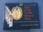 Spitzer, Victor M. and Whitlock, David G. - Atlas of the Visible Human Male. Reverse Engineering of the Human Body. Spitzer, Victor M. and Whitlock, David G. - Atlas of the Visible Human Male. Reverse Engineering of the Human Body.