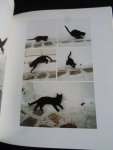 Silvester, Hans - Cats of the Greek Islands, fotoboek