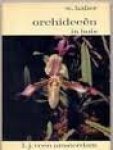 Haber, w - Orchideeen in huis