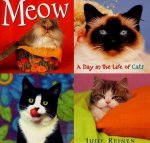 Judy Reinen - Meow a Day in the Life of Cats
