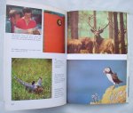 Boer, Dick - het fotoboek / successen met uw camera door dick boer / een boek om het scherpe waarnemen te leren