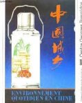 Redactie - Environnement quotidien en Chine, Centre Georges Pompidou, 19 mai - 20 septembre 1982
