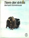 Stonehouse, Bernard - Tiere der Arktis