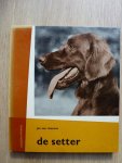 Rheenen, Jan van - De Setter