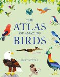 Matt Sewell 166571 - The Atlas of Amazing Birds
