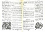 Frielander, M. (ed.) - The illustrated Jerusalem bible. With 2000 pictures. English translation.