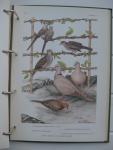 Rutgers, A. (red.) - Encyclopedie voor de vogelliefhebber. In drie delen.