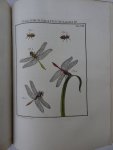 Rösel von Rosenhof, August Johan and C.FC. Kleemann. - De natuurlyke historie der insecten. Voorzien met naar `t Leven getekende en gekoleurde Plaaten. Volgens eigen ondervindling beschreeven, door de Heer August Johann Rösel, van Rosenhof, Miniatuur-Schilder. Met zeer nutte en fraaie Aanmerkingen...