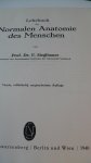 Sieglbauer Prof. Dr.F. - Lehrbuch der normalen Anatomie des Menschen