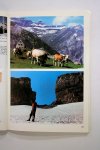 Diversen - Zeldzaam - Pyrenees Guide des Pyrenees de l Ossao a Luchon