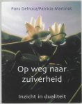 Fons Delnooz - Op weg naar zuiverheid