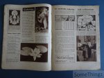 N/A. - V. Claes, Yv. Wagemans E.C. De Munck / Gummarus Crets. - Zonneland Alamank 1942. [Incompleet.]