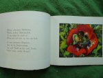 Weber, Mili - FROHE MÄRLEIN Bilderbuch. Verslein von einem kleinen Bären, dessen Bildnis' vorn in diesem Büchlein gemalt ist.