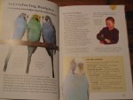Mcdowall, Ann - Quick-N-Easy Guide to Keeping a Budgie