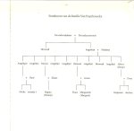 Paemel (Poesele, 4 mei 1945), Monique Maria (Monika) van - Celestien  De gebenedijde moeders  Met stamboom van de Familie Van Puynbroecks.