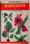 Rose, Henry; Illustrator : Faou, Annie le - Natuurgids voor de bladplanten cactussen en vetplanten