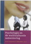 J. Knipscheer - Psychologie en de multiculturele samenleving
