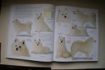 Bruce Fogle - DE NIEUWE ENCYCLOPEDIE VAN DE HOND