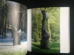  - Cass, Sculpture Foundation, The international resource for commissioning, exhibiting and selling monumental sculpture