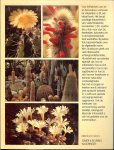 Oudshoorn, Wim  .. Redacteur  van Succulenta - 126 cactussen en vetplanten in kleur